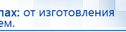 Электроды Скэнар -  двойной овал 55х90 мм купить в Новоалтайске, Электроды Скэнар купить в Новоалтайске, Дэнас официальный сайт denasolm.ru